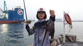 飛魚 Flying fish 釣魚 前打 南部港口釣查 石斑 紅槽 厚鱸 前鎮漁港 興達港 鳳鼻頭漁港 東港溪 小港漁港