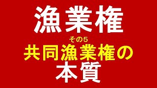 共同漁業権の本質