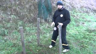 Preview: Lesson 19 - Tripodial (Kicking Dummy) (Sifu Fernandez's WingTchunDo Course)