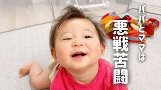 【生後8か月】赤ちゃんの反応は？！ベビーサークル購入しました（Baby playing in the playpen）