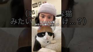 【ワンオクロックTaka】見知らぬ猫と人間を見間違えてしまう大物歌手 #Shorts