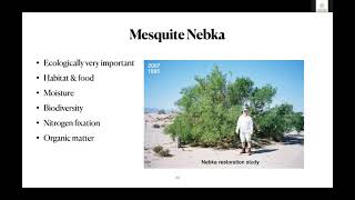 David Bainbridge Presents: Mesquite, a Multipurpose Tree Crop for Agroforestry in the SW