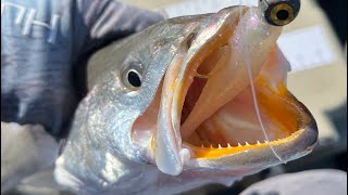 How I Catch Specks on the Great Flat of Chalmette | Properly Drifting Speckled Trout