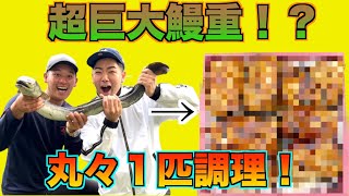 【後編】3メートル越えのオオウナギを捕獲して巨大鰻重作ってみた！〜調理編〜