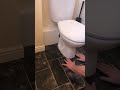 installing vinyl around a toilet ✅ flooring howto diy pov teirnanmccorkell manchester