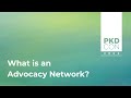 What is an Advocacy Network?