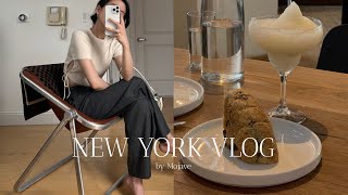 New York vlog🗽Eat, Drink and Love in NY | Summer Night Picnic | Making Paella | July 4th [Eng sub]