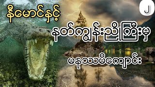 နီမောင်နှင့် ကျွန်းညိုကြီးကမနုဿ မိကျောင်း (ဒုတိယပိုင်း)