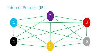 CS50 MCZ - IP - CS50 Shorts