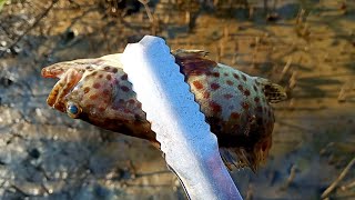 Crab eel fishing along the beach ចាប់ត្រីក្នុងសមុទ្រ