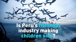 Is Peru's multi-million dollar fishmeal production making children sick?