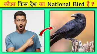कौआ किस देश का राष्ट्रीय पक्षी है?🤔|crow kis desh ka national bird hai #shorts #youtubeshorts