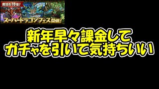 新年早々課金してゴッドフェス38連引いて気持ちよくなりたい【パズドラ】