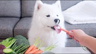 野菜嫌いなお友達にお勧めl犬を食べASMR