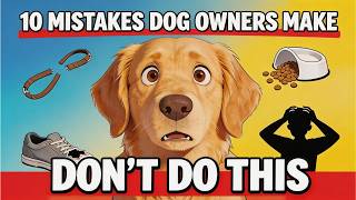 10 Mistakes Dog Owners Make (Are You One of Them?) 🐶