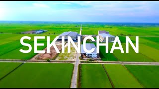 DJI Mini 2 | The Paddy Fields of Sekinchan | Selangor | Cinematic [4K]