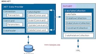 Using DataAdapter Select Command SqlServer