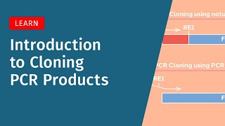 Introduction to Cloning PCR Products