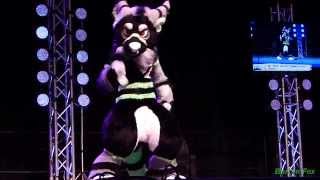 Anthrocon 2014 - Fursuit Dance Competition - Tayerr