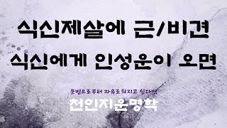 식신제살에 근/비견, 식신에게 인성운이 오면