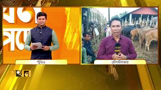 মৌলভীবাজারে জমে উঠেছে গবাদিপশুর হাট | Moulvibazar News | Cow Market | Ekhon TV