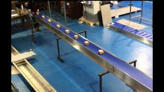 Long Troughed Blue Belt Conveyor Food Grade Belting UK C-Trak Ltd