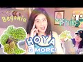 Unboxing houseplants from Steve’s leaves + Gabriella Plants + Etsy!!!