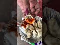 Best chicken momos in just Rs20 🥺😍 | Kalkaji, Delhi #shorts #momos #streetfood