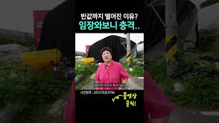 개발호재지역에서 150평인데 반값이상 떨어진 이유는?#shorts