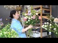 【大叔说花】奶油色鲜花花束大飞燕大丽花花店日常订单vlog206