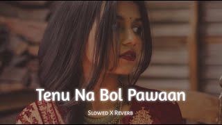 Tenu Na Bol Pawaan [Slowed + Reverb] - Behen Hogi Teri | sno shadow