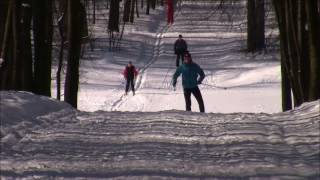 Nordic Skiing Technique