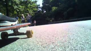 Land Surfing at Central Park NYC  aka \