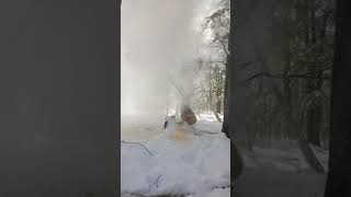 Cutting Hemlock Snowy Winter Logging  'Out of Nowhere' #chainsaw #tree #shorts #snow #lumberjack