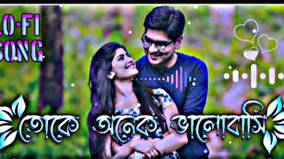 toke onek valobasi || তোকে অনেক ভালোবাসি || [ slowed reverb ] || Bangla song 🎧 #trending_song #viral