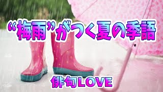 2023年5月5日「 “梅雨”がつく夏の季語」俳句LOVE