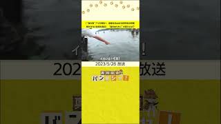 【“海の森”アマモ再生へ　温暖化を止める高校生の挑戦】桝が次々と生物を発見！　“海のゆりかご”の実力とは？