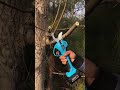 Professional Cordless Electric Lithium Battery Powered Pruning Shears