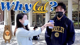 Why did you choose UC Berkeley? (Asking Random Students)