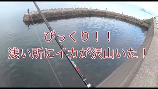 見えイカ釣り楽しい！！