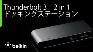 Belkin Thunderbolt™ 3 Dock Pro 12 in 1 USB-Cハブ F4U097JA