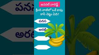 జనరల్ నాలెడ్జ్ | General Knowledge  #generalknowledge  #gk  #gk2023