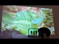 this is a 200 inch tv under rs 1x 000 hy320 budget screen projector unboxing and review