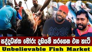 සද්ධන්ත මෝරු දඩයම් කරන් එන හැටි |unbelievable fish market nigombo |fish cutting | ft @wishwatiyubaya