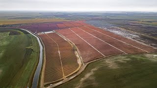 Agricrafters-Sekoya blueberries project 2024