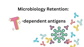 Microbiobiology Retention | T-dependent Antigens #microbiologyit