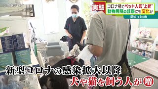 「病気やケガをしたときどうすれば？」動物病院の診察に変化　コロナ禍でニーズ高まる「往診」　愛知・刈谷市