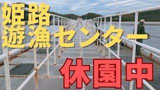 【休園中】姫路市立遊漁センター（海釣り公園）の釣果