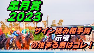 皐月賞2023サイン読み相手馬｜CM、ポスター？世相！週中の解読から浮上する馬とは？