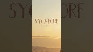 Sycamore Album #newmusic #sycamore #july2024